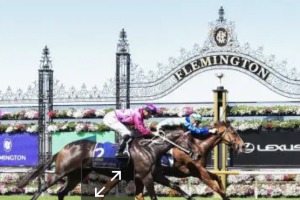 Melbourne Cup 2024: Latest News, Updates, Tips & Results